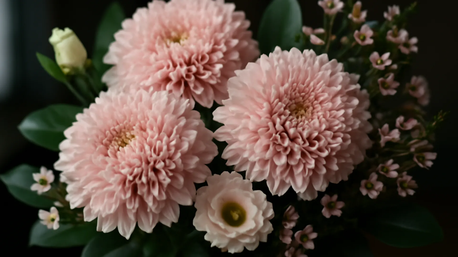 Longest-lasting cut flowers